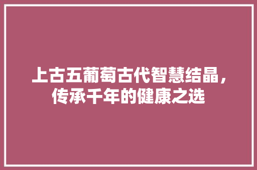 上古五葡萄古代智慧结晶，传承千年的健康之选