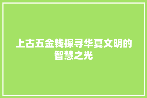 上古五金钱探寻华夏文明的智慧之光