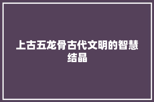上古五龙骨古代文明的智慧结晶
