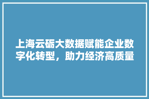 上海云砺大数据赋能企业数字化转型，助力经济高质量发展