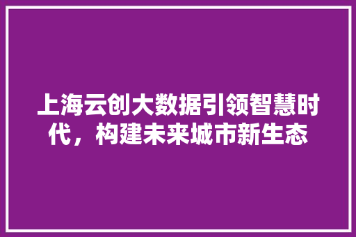 上海云创大数据引领智慧时代，构建未来城市新生态