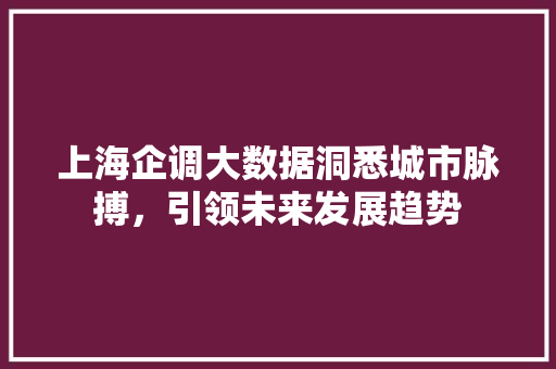 上海企调大数据洞悉城市脉搏，引领未来发展趋势
