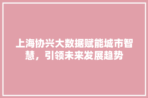 上海协兴大数据赋能城市智慧，引领未来发展趋势
