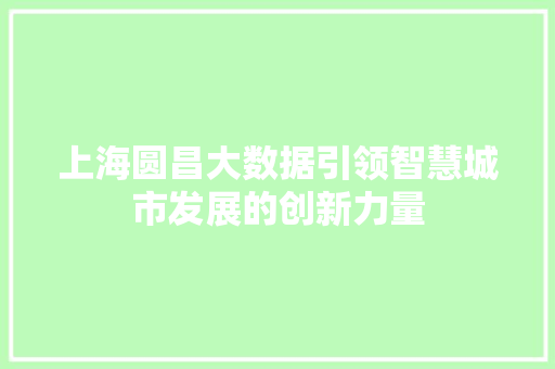 上海圆昌大数据引领智慧城市发展的创新力量