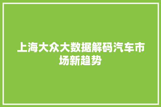 上海大众大数据解码汽车市场新趋势