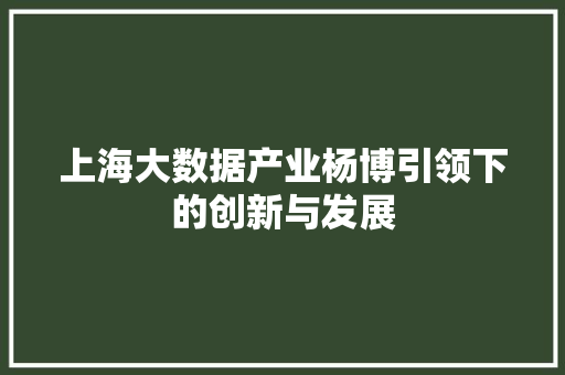 上海大数据产业杨博引领下的创新与发展