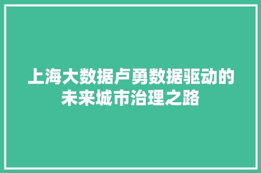 上海大数据卢勇数据驱动的未来城市治理之路 服务器/数据库