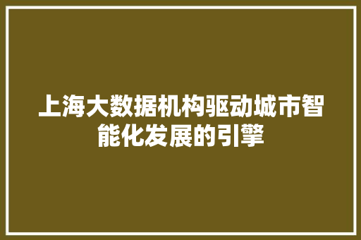 上海大数据机构驱动城市智能化发展的引擎