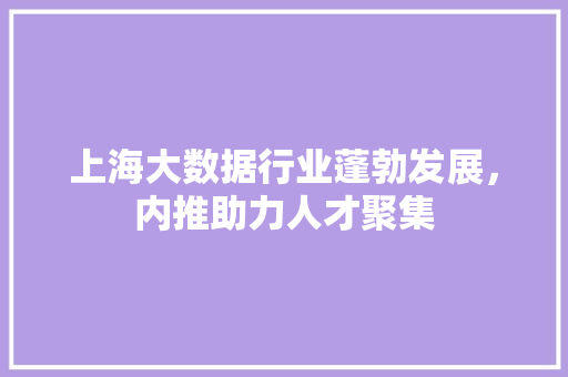 上海大数据行业蓬勃发展，内推助力人才聚集