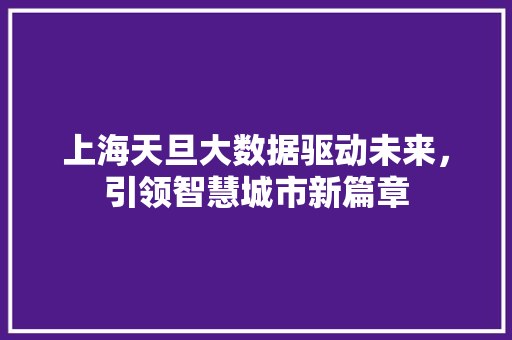 上海天旦大数据驱动未来，引领智慧城市新篇章