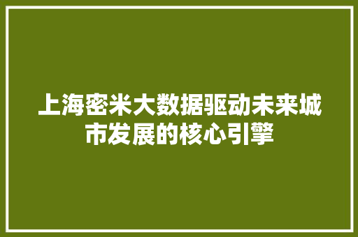 上海密米大数据驱动未来城市发展的核心引擎