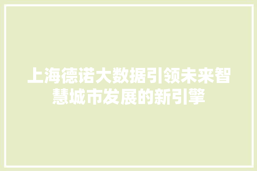 上海德诺大数据引领未来智慧城市发展的新引擎