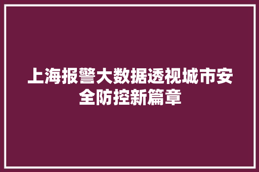 上海报警大数据透视城市安全防控新篇章