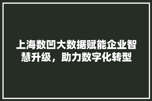 上海数凹大数据赋能企业智慧升级，助力数字化转型