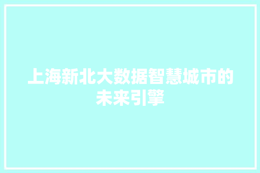 上海新北大数据智慧城市的未来引擎