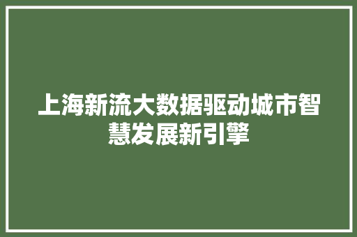 上海新流大数据驱动城市智慧发展新引擎