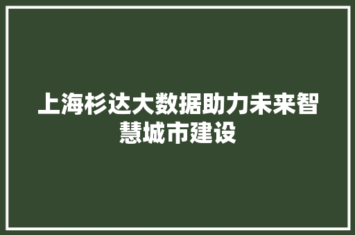 上海杉达大数据助力未来智慧城市建设