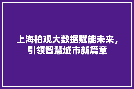 上海柏观大数据赋能未来，引领智慧城市新篇章 WordPress教程