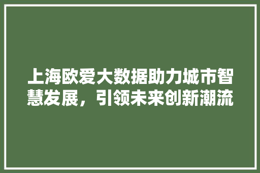 上海欧爱大数据助力城市智慧发展，引领未来创新潮流