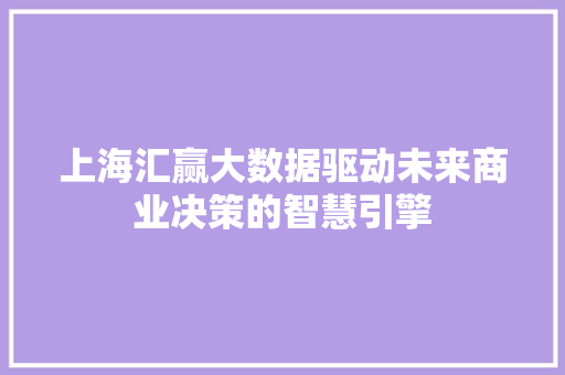 上海汇赢大数据驱动未来商业决策的智慧引擎