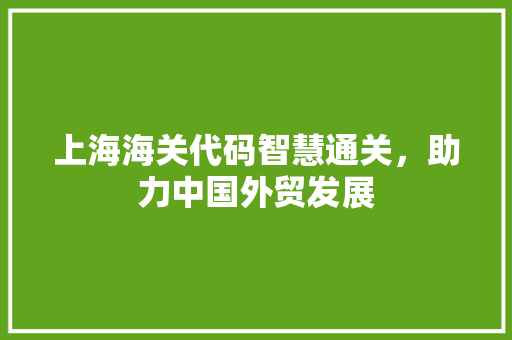 上海海关代码智慧通关，助力中国外贸发展