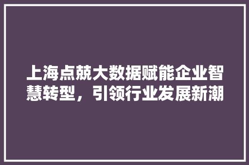 上海点兢大数据赋能企业智慧转型，引领行业发展新潮流
