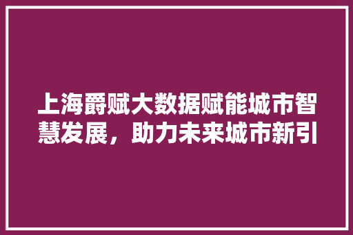 上海爵赋大数据赋能城市智慧发展，助力未来城市新引擎