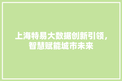 上海特易大数据创新引领，智慧赋能城市未来