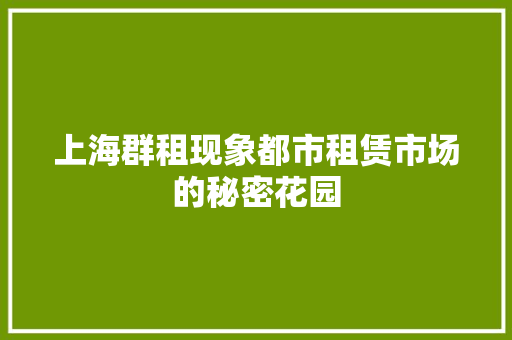 上海群租现象都市租赁市场的秘密花园