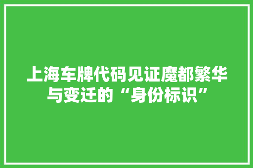 上海车牌代码见证魔都繁华与变迁的“身份标识”