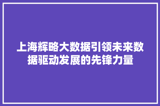 上海辉略大数据引领未来数据驱动发展的先锋力量