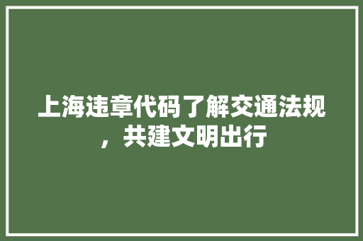 上海违章代码了解交通法规，共建文明出行