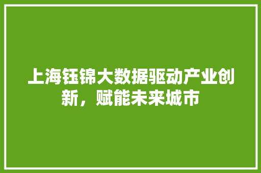 上海钰锦大数据驱动产业创新，赋能未来城市 WordPress教程