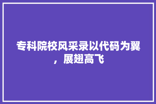 专科院校风采录以代码为翼，展翅高飞