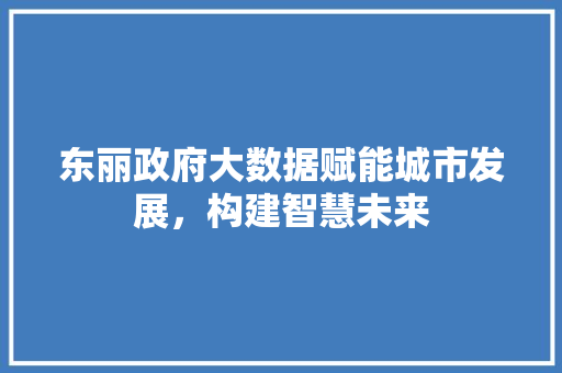 东丽政府大数据赋能城市发展，构建智慧未来