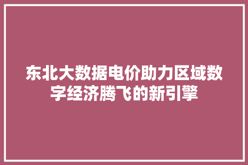 东北大数据电价助力区域数字经济腾飞的新引擎