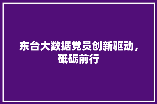 东台大数据党员创新驱动，砥砺前行 建站教程