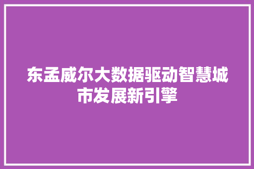 东孟威尔大数据驱动智慧城市发展新引擎