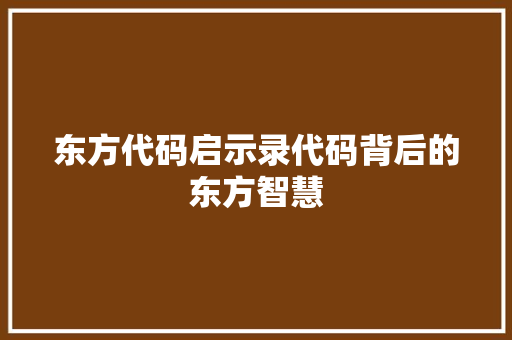东方代码启示录代码背后的东方智慧