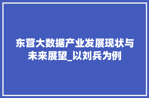 东营大数据产业发展现状与未来展望_以刘兵为例