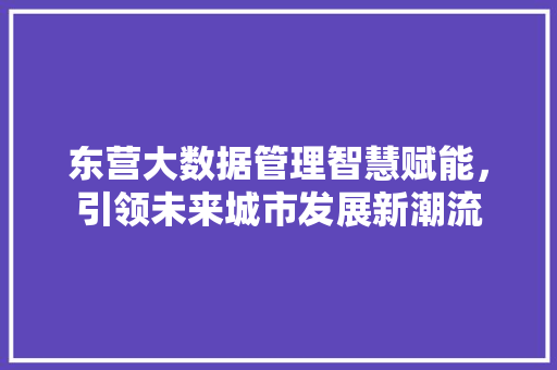 东营大数据管理智慧赋能，引领未来城市发展新潮流