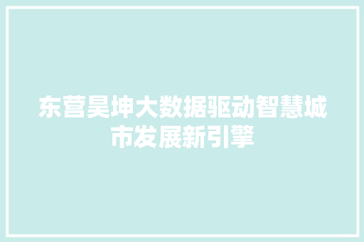 东营昊坤大数据驱动智慧城市发展新引擎 SEO教程