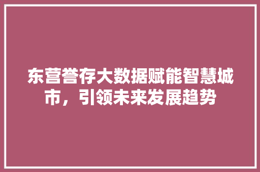 东营誉存大数据赋能智慧城市，引领未来发展趋势