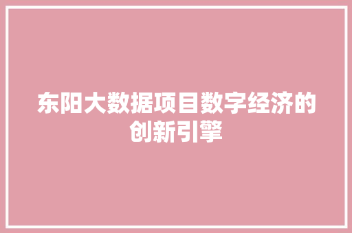 东阳大数据项目数字经济的创新引擎 建站教程