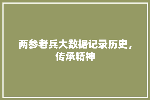 两参老兵大数据记录历史，传承精神