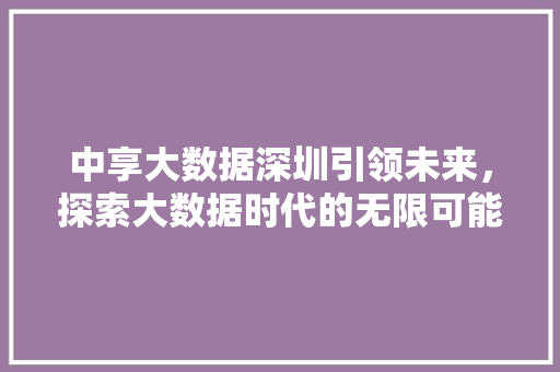 中享大数据深圳引领未来，探索大数据时代的无限可能