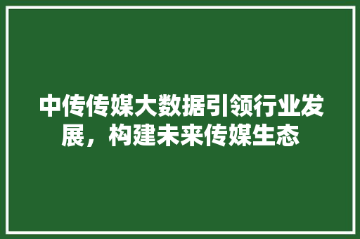 中传传媒大数据引领行业发展，构建未来传媒生态