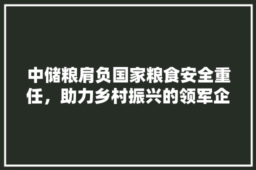 中储粮肩负国家粮食安全重任，助力乡村振兴的领军企业