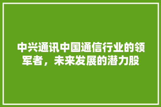中兴通讯中国通信行业的领军者，未来发展的潜力股