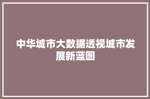 中华城市大数据透视城市发展新蓝图